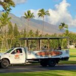 Fun & Affordable! West Maui Open-Air Sightseeing Tour! - Honolua Bay: A Coastal Gem with Picturesque Views