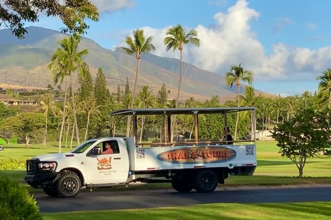 Fun & Affordable! West Maui Open-Air Sightseeing Tour! - Honolua Bay: A Coastal Gem with Picturesque Views