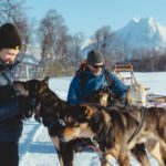 Fun & Easy Dog Sledding Adventure - Early Bird Tour - The Self-Drive Sledding Experience with Huskies