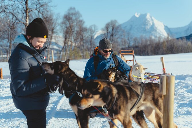Fun & Easy Dog Sledding Adventure - Early Bird Tour - The Self-Drive Sledding Experience with Huskies