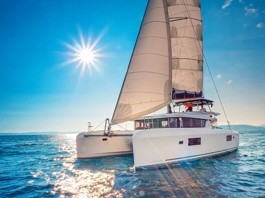 Funchal Bay: Dolphin & Whale Watch Luxury Catamaran Cruise - Departure from Funchal’s Marina Nova