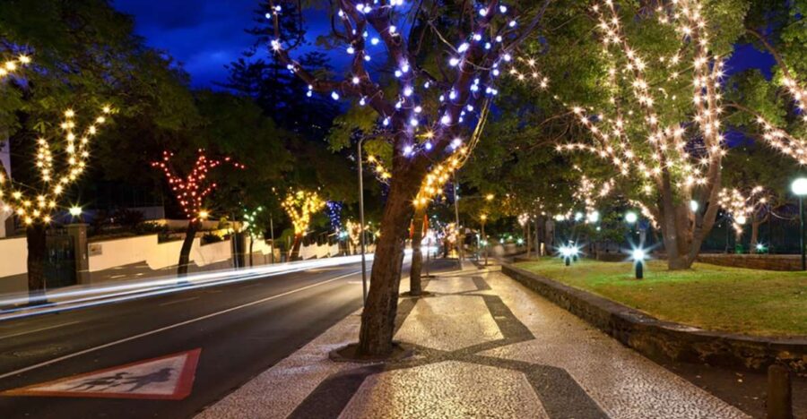 Funchal: Christmas Lights Guided Tuk-Tuk Tour - Scenic Stops at Barreirinha Beach and Avista Navios Viewpoint