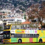 Funchal Hop-On Hop-Off Tour 3 in 1 - Visiting Cabo Girão: The Skywalk Experience