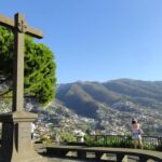 Funchal, Madeira Short Visit Shore Excursion - Panoramic Views from Pico dos Barcelos