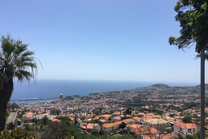 Funchal Private Vehicle Service with Driver for a Half Day or Full Day - Scenic Highlights Accessible with a Private Driver