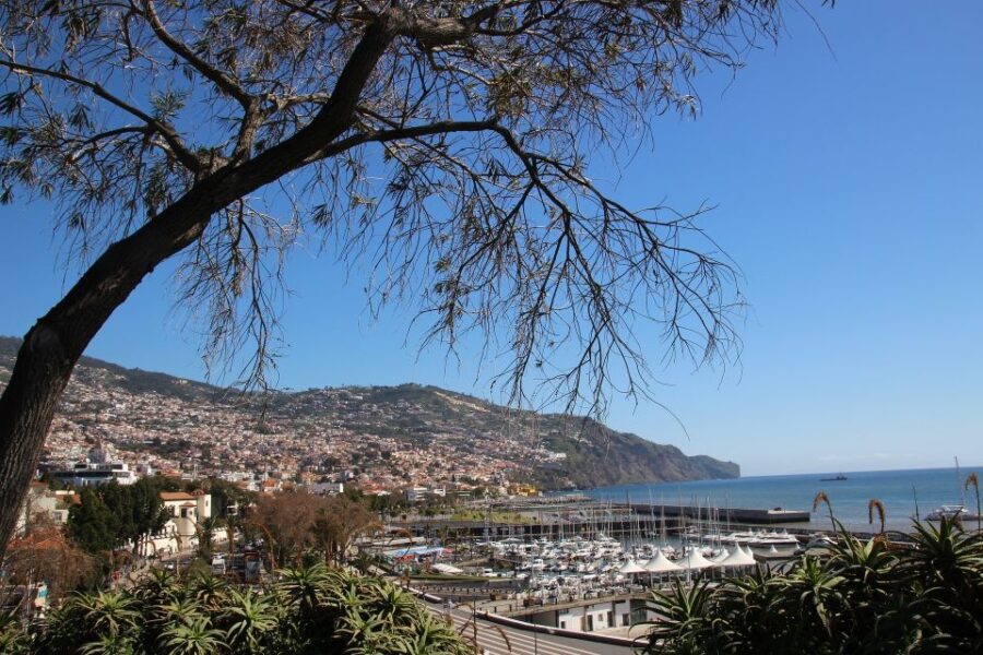 Funchal: Private Walking Tour with a Local - How the Tour is Personalized to Your Interests