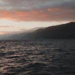 Funchal Sunset Sailing Private Tour - Departure from the Marina do Funchal at Sunset