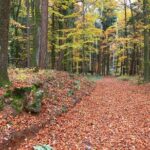 Fünf Seidla Steig ® Beer Hike Food Experience Private Tour (departs Nuremberg) - Exploring Medieval Gräfenberg and Its Breweries