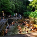 Furnas: Tea Plantations, Lake and Volcano Guided Tour - From the Old Town to the Gorreana Tea Plantation