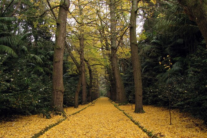 Furnas & Terra Nostra Botanic Park Tour w/Lunch + Hotsprings Bath - Starting Point at Vila Franca do Campo Marina