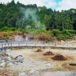 Furnas Volcano Experience  Nature, Hot Springs & Scenic Views - Starting the Day at Miradouro de Santa Iria for Stunning Coastline Views