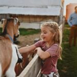 Galena Area: Berning Acres Family Dairy Farm Tour - The Location and How to Find Berning Acres