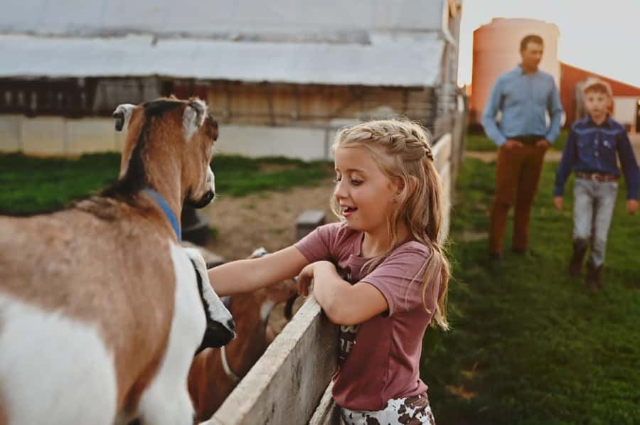 Galena Area: Berning Acres Family Dairy Farm Tour - The Location and How to Find Berning Acres