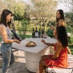 Gallura Winery with Wine Tasting in Olbia - Key Points