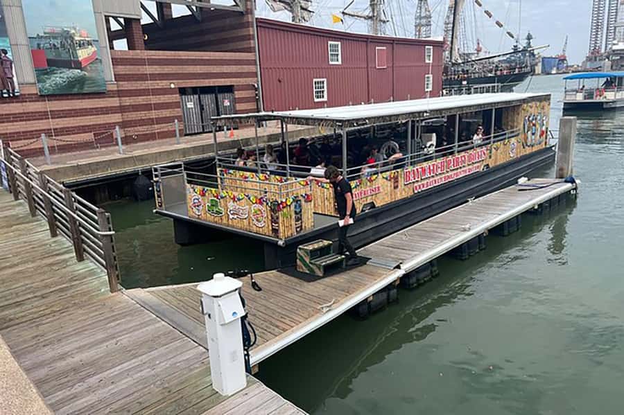 Galveston: Dolphin-Watching Cruise - What Dolphins and Wildlife You Can Expect to See