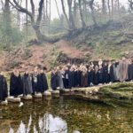 Game of Thrones - Winterfell Trek from Dublin - Exploring Tollymore Forest Park’s Game of Thrones Roots