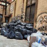 Garbage and Rats in New York City Walking Tour - The Tour Starts at Wall Street & Pearl Street
