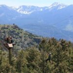 Gardiner: Guided Zipline EcoTour (3 hours) - Scenic Shuttle Ride to Stermitz Ranch