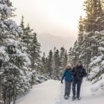 Gaspésie: National Park Entry Ticket with Snowshoe Rental - Explore 13 Trails Ranging from 1.7 km to 18 km