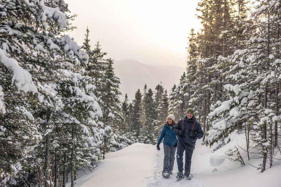 Gaspésie: National Park Entry Ticket with Snowshoe Rental - Explore 13 Trails Ranging from 1.7 km to 18 km