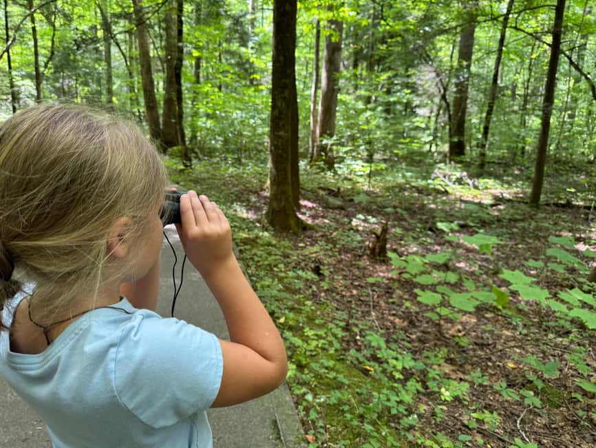 Gatlinburg: Adventure Hike and Craft for Kids - Learn Fascinating Black Bear Facts and Stories