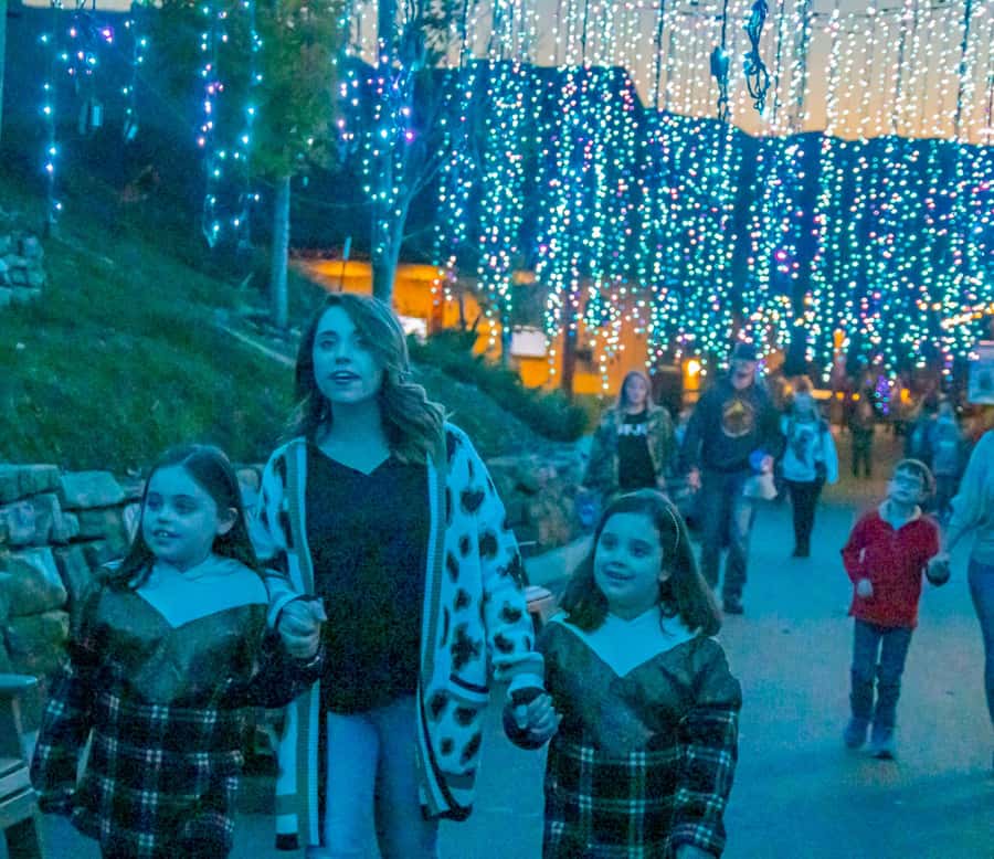 Gatlinburg: Anakeesta Adventure Park Entry Ticket - Walking the Skywalk and Taking in Mountaintop Views