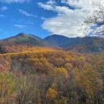 Gatlinburg: Great Smoky Mountains National Park Classic Tour - Visiting the Remains of a Historic Resort Town