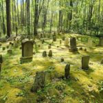 Gatlinburg: Great Smoky Mts National Park Waterfall Tour - Meeting at Mynatt Park and Starting the Adventure