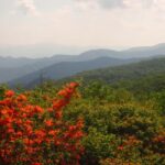 Gatlinburg: Smoky Mountain Appalachian Bald Guided Hike - Visiting the Highest Point at Kuwohi and Its Significance