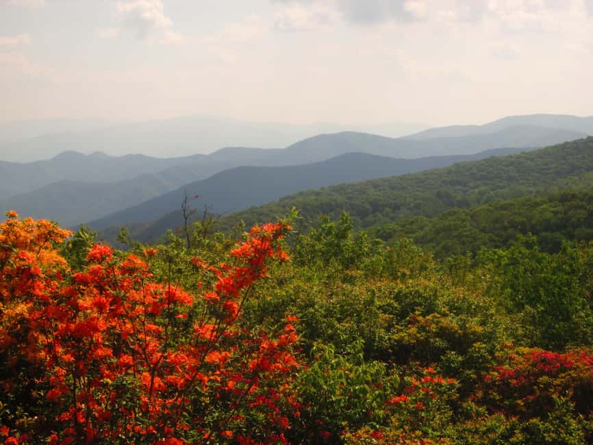 Gatlinburg: Smoky Mountain Appalachian Bald Guided Hike - Visiting the Highest Point at Kuwohi and Its Significance