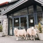 Geiranger: Excursions.no Mount Dalsnibba & Eagle's Bend - Meeting Point and Logistics in Geiranger