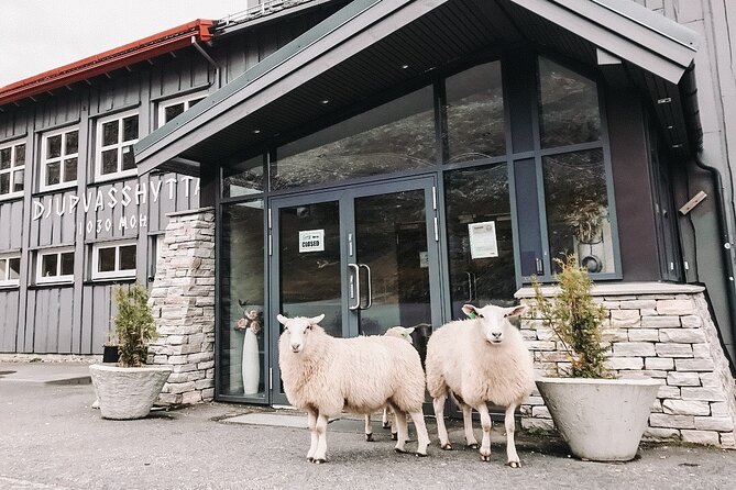 Geiranger: Excursions.no Mount Dalsnibba & Eagle's Bend - Meeting Point and Logistics in Geiranger