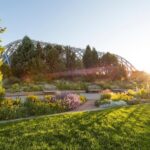 General Admission to Denver Botanic Gardens Ticket - Exploring the Diverse Plant Collections