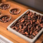 Geneva Chocolate tasting Tour in a Private TaxiBike - Exploring the World of Favarger at the Geneva Boutique