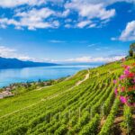 Geneva to Lausanne, Montreux and Château Chillon Private Tour - Lausanne: The Olympic Museum and Lakeside Views