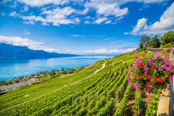 Geneva to Lausanne, Montreux and Château Chillon Private Tour - Lausanne: The Olympic Museum and Lakeside Views