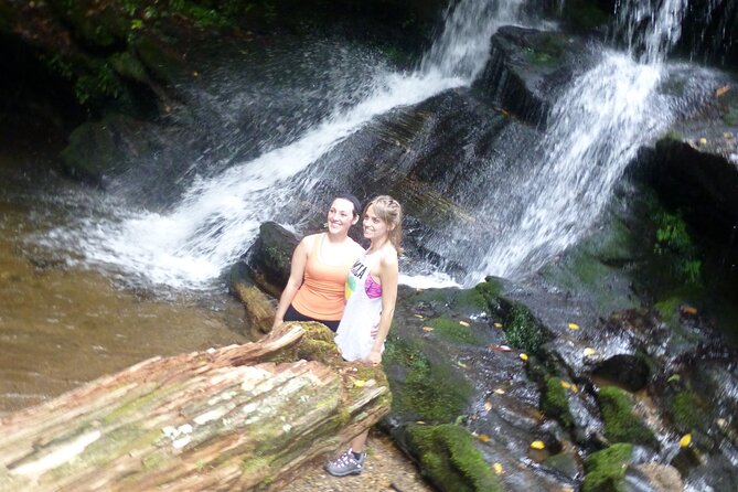 Georgia Horseback Ride with Wine Tasting - The Picnic-Style Lunch: Organic and Fresh