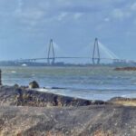 Get Out of Town! Visit 12 Lowcountry Stops with the Complete Charleston Tour! - Visiting Historic Plantations and Churches