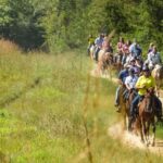Gettysburg: Licensed Guided Battlefield Horseback Tour - Scenic Stops at Spangler Farm and Little Round Top