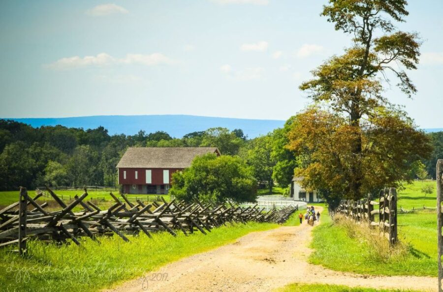 Gettysburg: Private Tour with Licensed Battlefield Guide - Convenience of a Private Vehicle Tour in Gettysburg