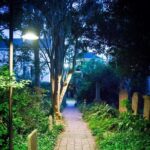 Ghosts of Charleston Night-Time Walking Tour with Unitarian Church Graveyard - The Historic Charleston Meet Point at Buxton Books