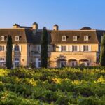 Giant Redwoods Tour Including a 5-Course Winery Lunch - Gourmet Lunch with Wine at Kendall-Jackson Winery