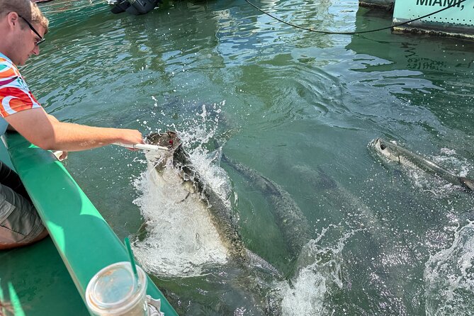 Giant Tarpon Fish Feeding Experience in Bayside Marketplace - Meeting Point and Logistics at Bayside Marketplace