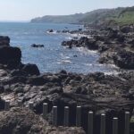 Giants Causeway ~ one stop tour - Convenient Pickup and Transportation in Belfast