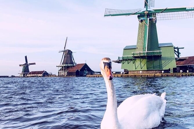 Giethoorn, Private Boat Tour & Zaanse Schans Windmills - Practical Details and Accessibility