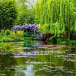 Giverny - Claude Monet's House & Gardens - Private Trip - From Paris to Giverny: Comfortable Private Transport