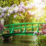 Giverny Monets House and Gardens Half Day Tour from Paris - Lunch and Strolling in Giverny Village