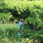 Giverny Private Half-Day Trip including Claude Monet' Gardens & House from Paris - Visiting Monet’s House and Gardens in Giverny