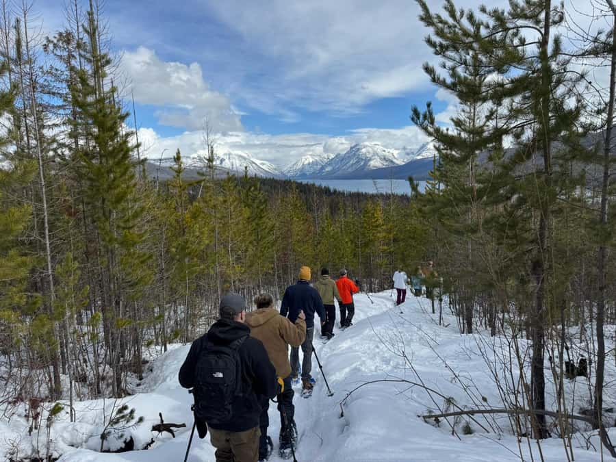 Glacier National Park: Combo Driving Tour + Snowshoe Trek - Guided Snowshoe Trek in Glacier National Park Backcountry