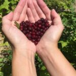 Glacier National Park: Morning Nature Walk - The Starting Point: West Glacier and Easy Check-In Process